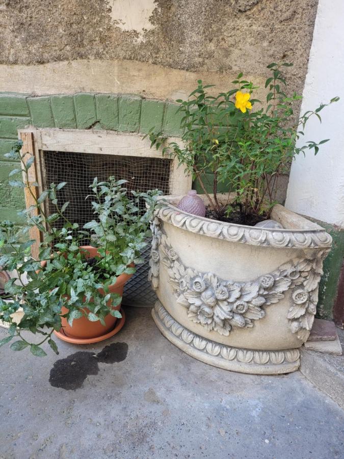 Secret Garden Apartment Zagreb Eksteriør bilde